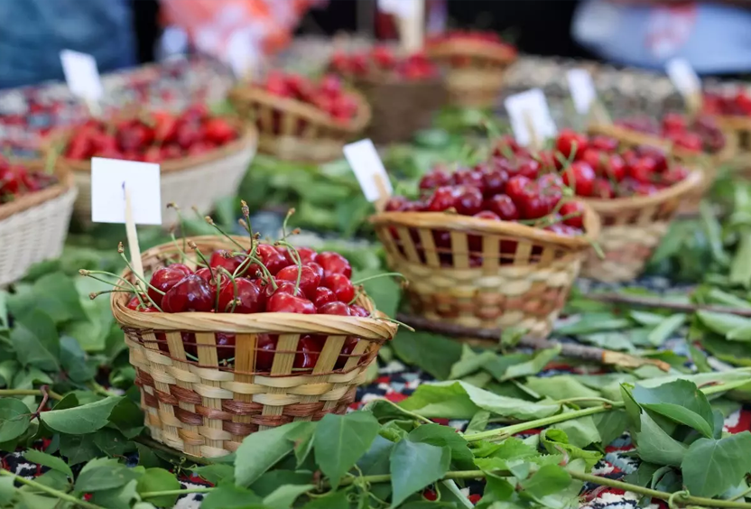 Belenbaşı Yörük Culture Promotion and Cherry Festival
